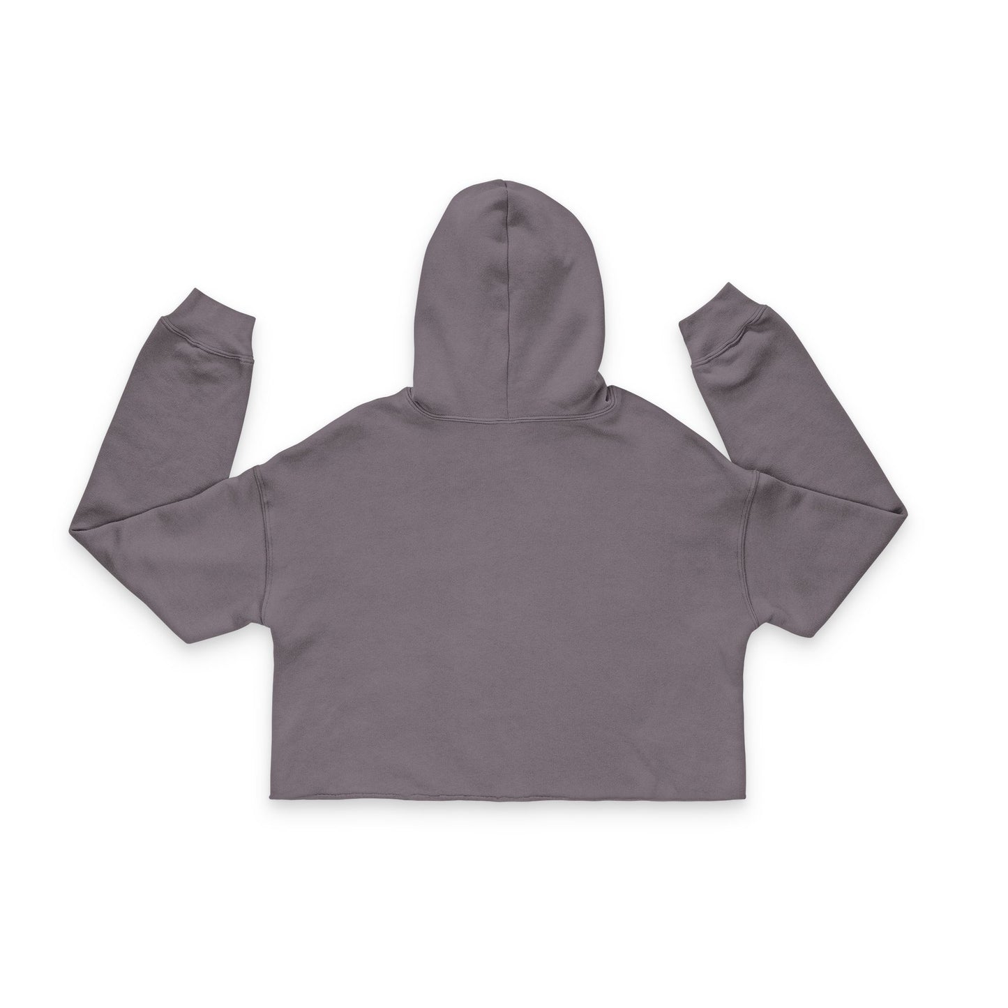 FitVerse Crop Hoodie